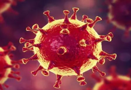 La Organización Mundial de la Salud aviso el día de fin de año de la aparición del coronavirus
